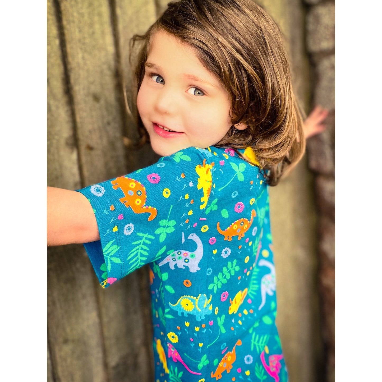 Piccalilly Dinosaur Tshirt