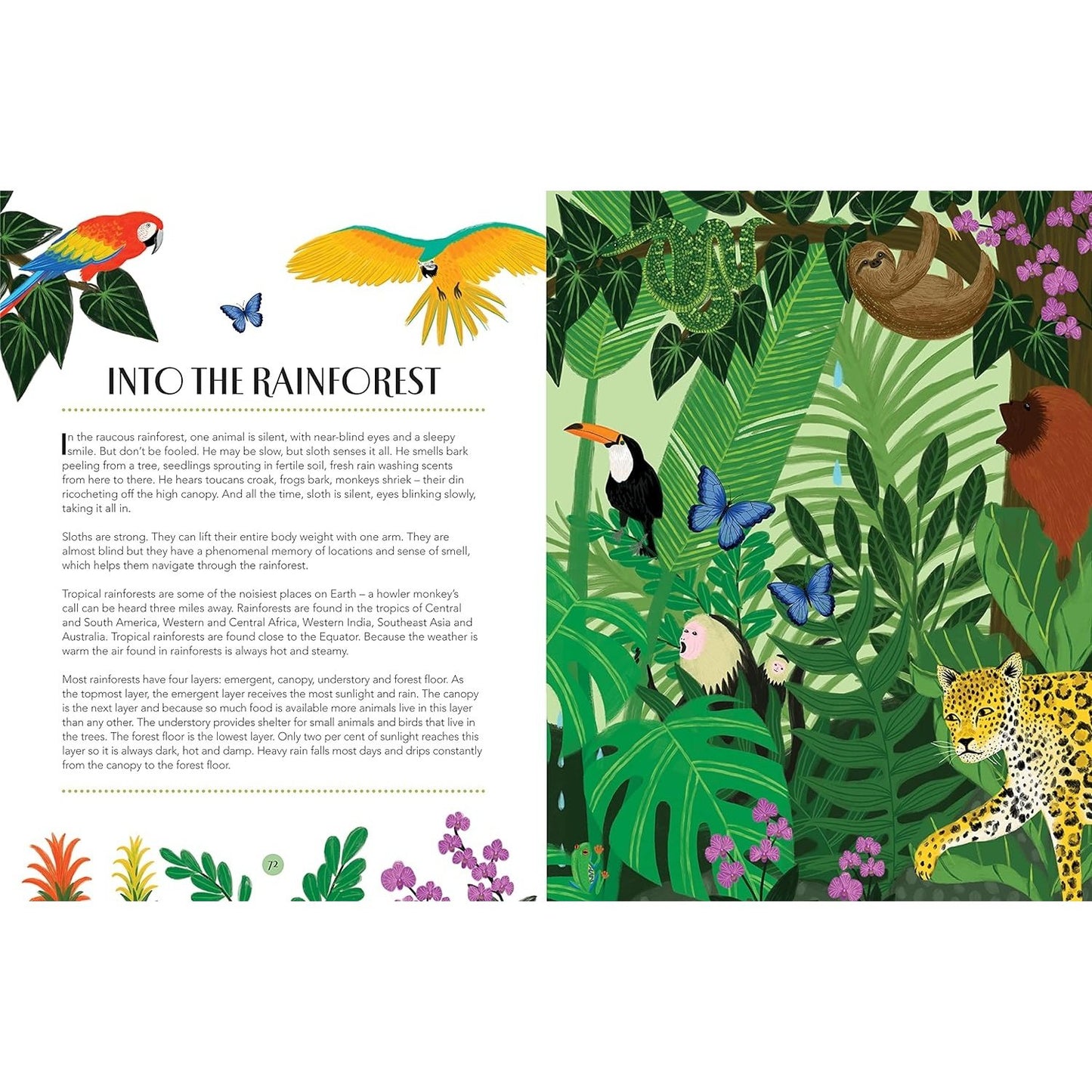 Nature: A Magical Journey Through the Year