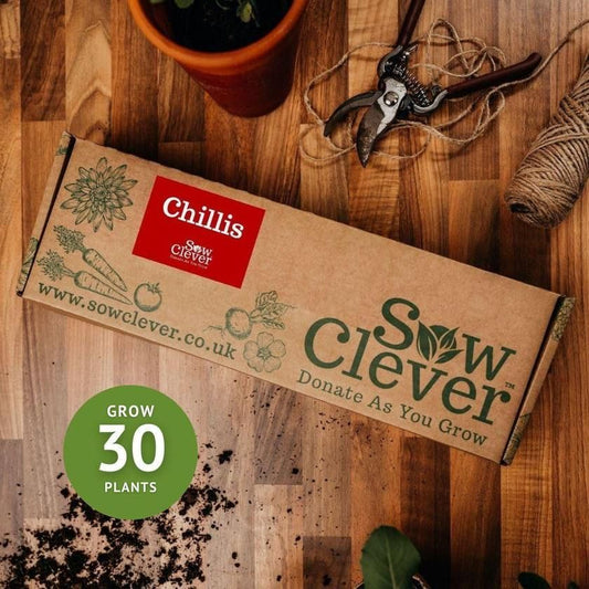 Sow Clever - Grow Your Own Chillis