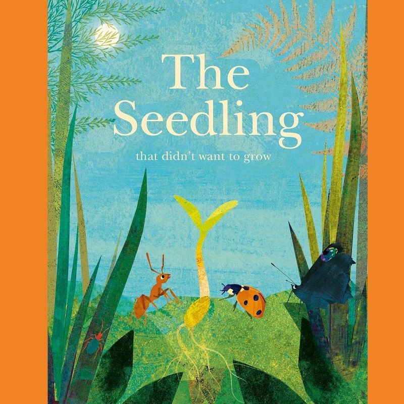 The Seedling that didn't want to Grow