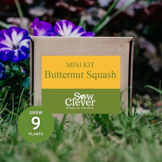 Sow Clever Mini Kit - Grow your own Butternut Squash