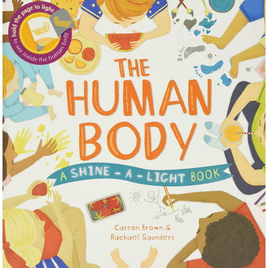 The Human Body (A Shine a Light through book)