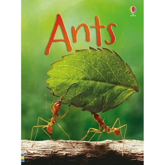 Usborne Beginners: Ants