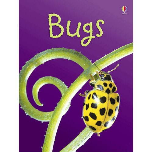 Usborne Beginners: Bugs