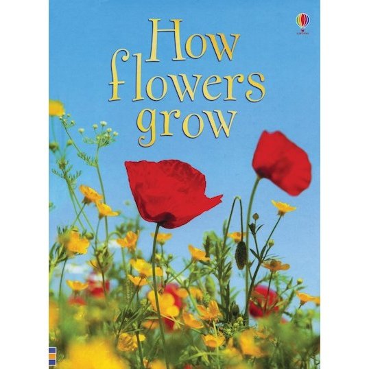 Usborne Beginners: How Flowers Grow