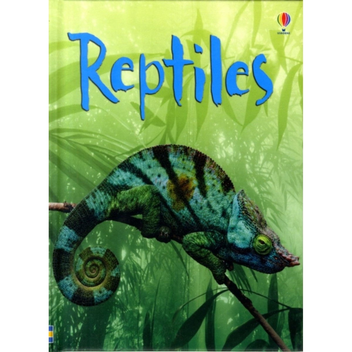 Usborne Beginners: Reptiles