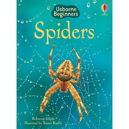 Usborne Beginners: Spiders